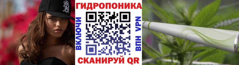 Где можно купить наркотики Шахунья Амфетамин  Меф мяу мяу  А ПВП  Гашиш  COCAIN 