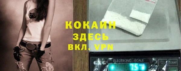 шишки Чегем
