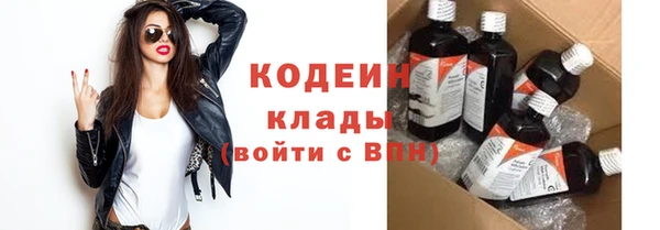 шишки Чекалин