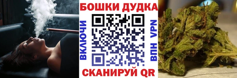 Бошки Шишки планчик мега вход Шахунья